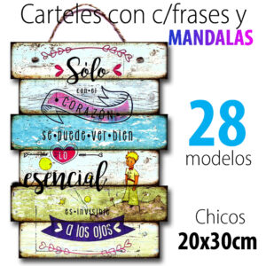 Carteles S2 con soga
