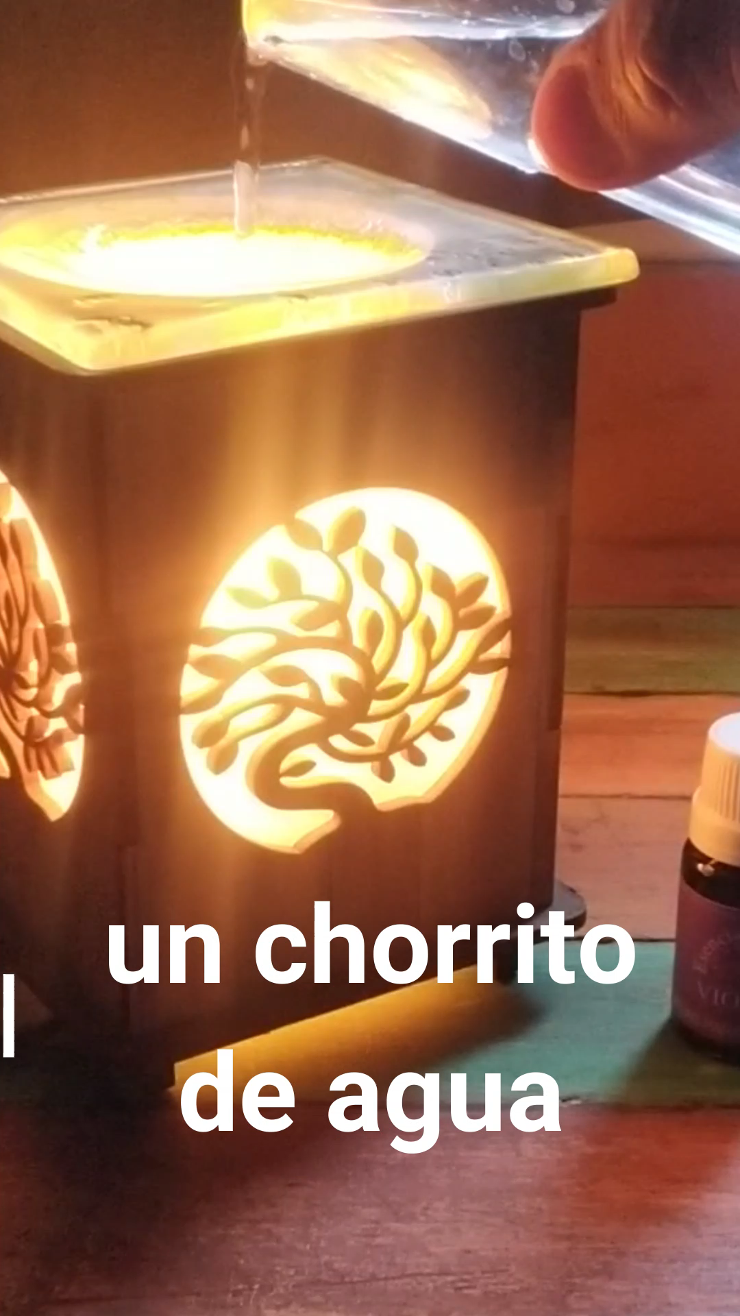 Paso 2