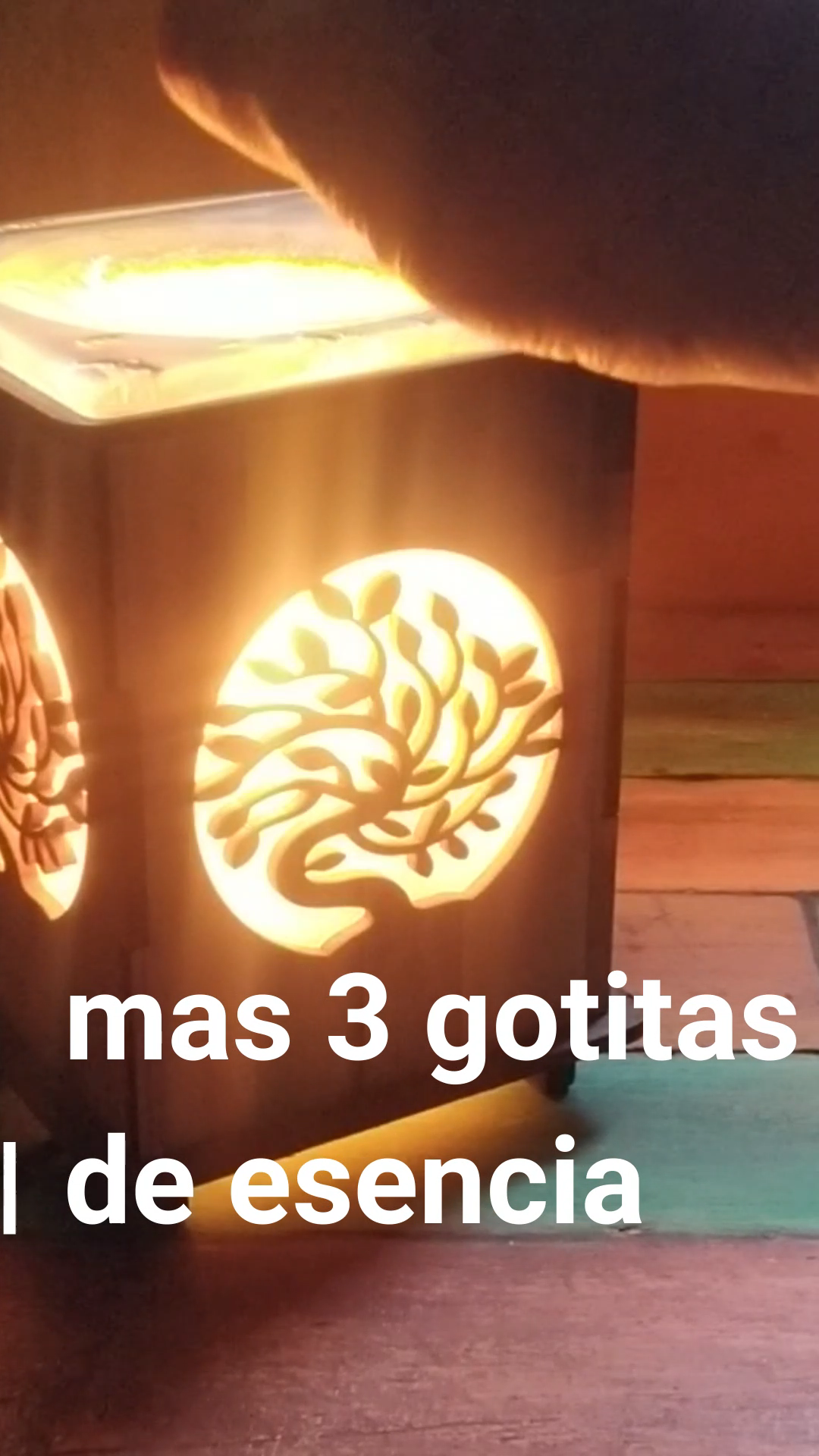 Paso 3